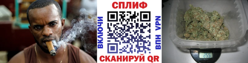 Купить где  Белебей  Каннабис сатива 
